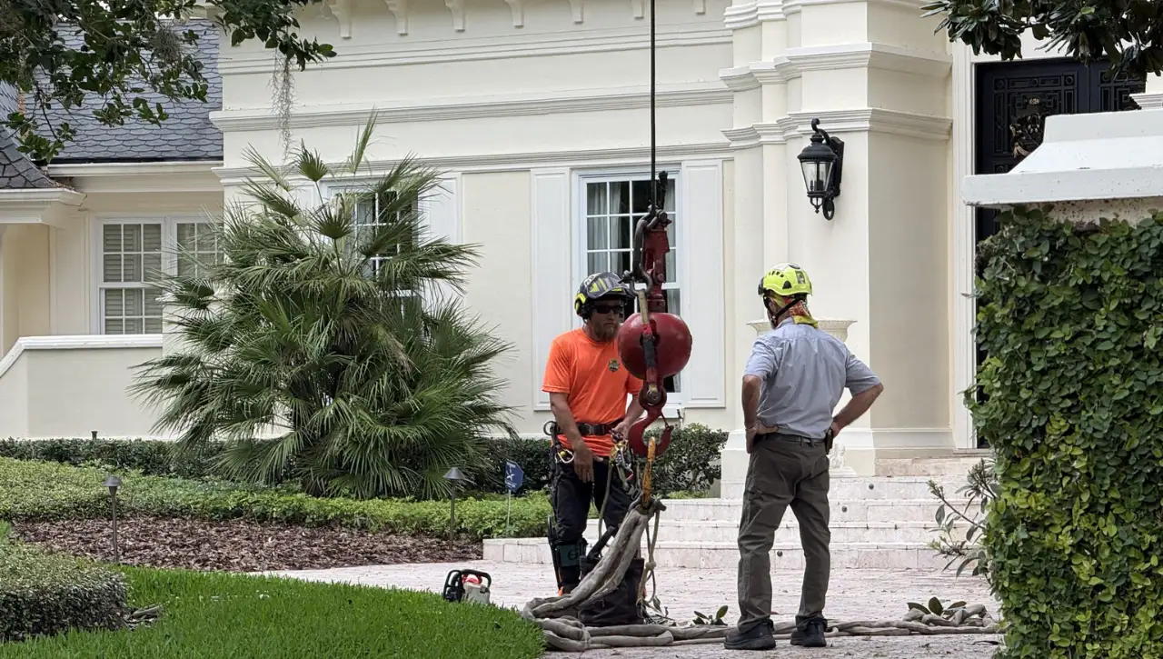 Southern Environmental Group arborists rigging heavy duty crane for tree extraction in Tampa Bay , certified arborist crew setting up crane and rigging equipment for safe precision tree removal at luxury residential property