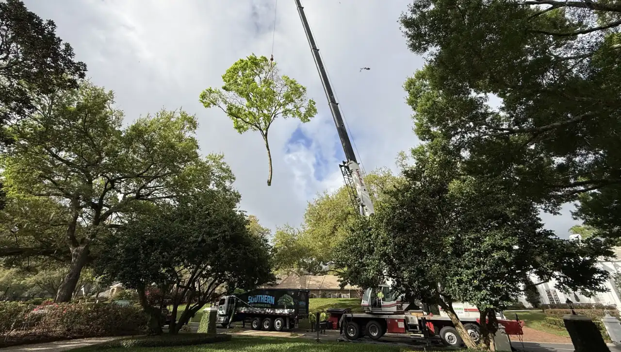 Southern Environmental Group crane hoisting large tree section over residential landscape in Tampa Bay , Link-Belt mobile crane safely lifting massive tree limb over manicured lawn during residential tree removal
