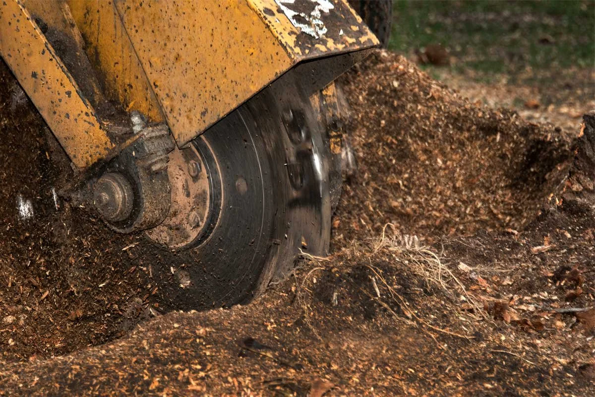 Professional tree stump removal service in action using a high-powered stump grinder by Southern Environmental.
