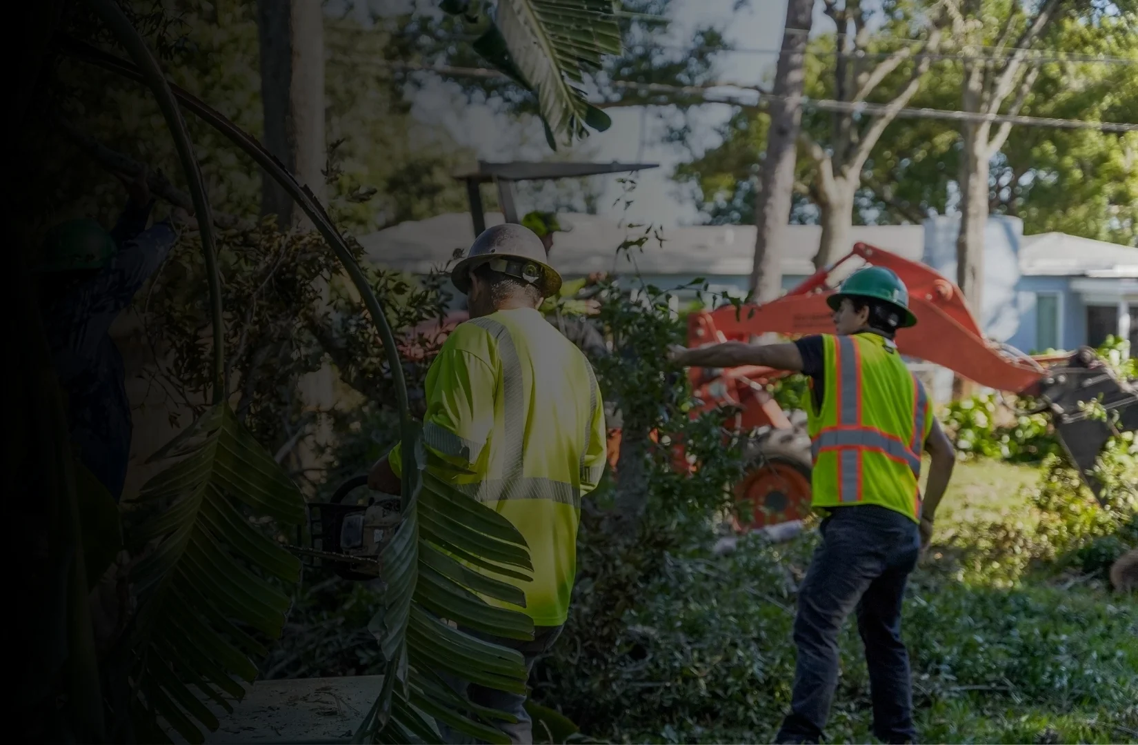 Crew members in safety gear clearing brush and coordinating machinery on a residential property, showcasing the active teamwork you can learn about at Southern Environmental Group.
