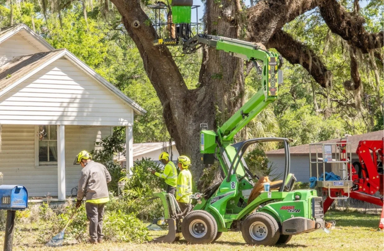 Professional arborists in high-vis safety gear performing residential tree maintenance with a boom lift and mini skid steer, showcasing the expert team you can read about at Southern Environmental Group.