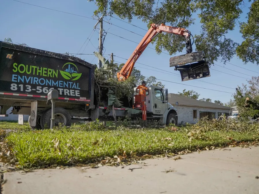 Southern Environmental grapple truck loading organic debris during a commercial forestry mulching and land clearing project.