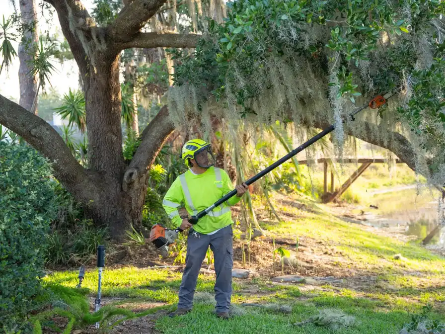 Professional Southern Environmental technician performing precision commercial tree trimming using a pole saw and high-visibility safety gear.