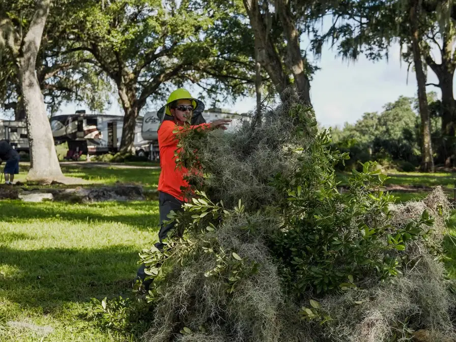 Southern Environmental crew member clearing Spanish moss and brush debris after a residential tree pruning and shaping project.