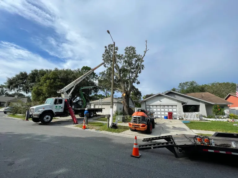 Southern Environmental team performing a residential tree removal using a specialized crane and heavy machinery to safely clear a large tree near a home.