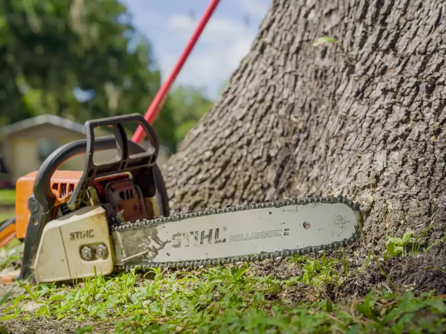 Professional Stihl chainsaw resting by a tree trunk for a residential tree stump removal project by Southern Environmental.