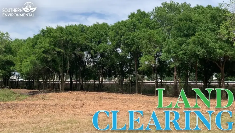 A cleared and mulched commercial lot with a managed treeline, demonstrating professional land clearing by Southern Environmental.
