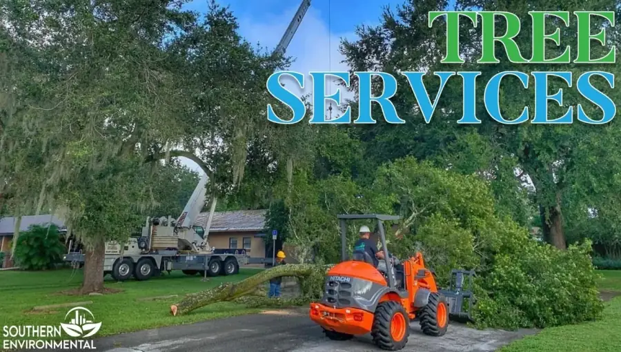 Southern Environmental crew using a crane and Hitachi loader for professional residential tree services.