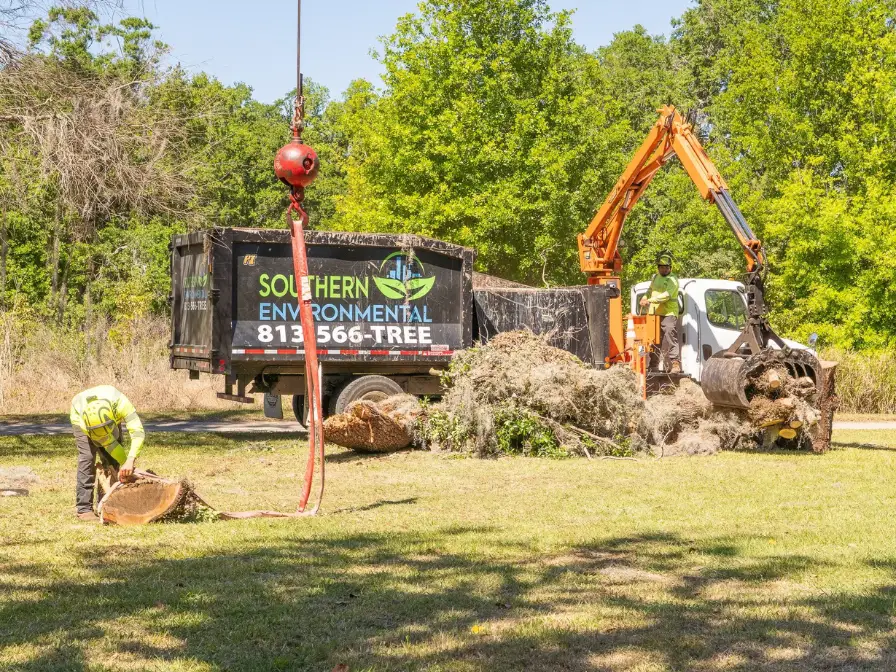 Crew performing commercial tree removal in Tampa Bay using professional grab truck and high-visibility equipment, by Southern Environmental.