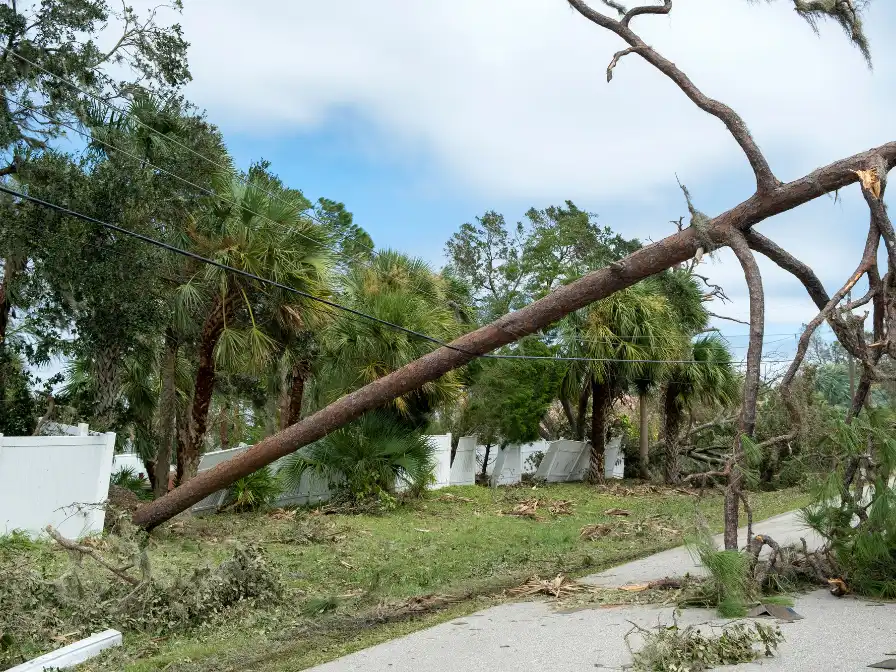 Emergency hurricane season tree care in Central Florida showing a large fallen pine tree that damaged a residential fence and is leaning on utility lines.