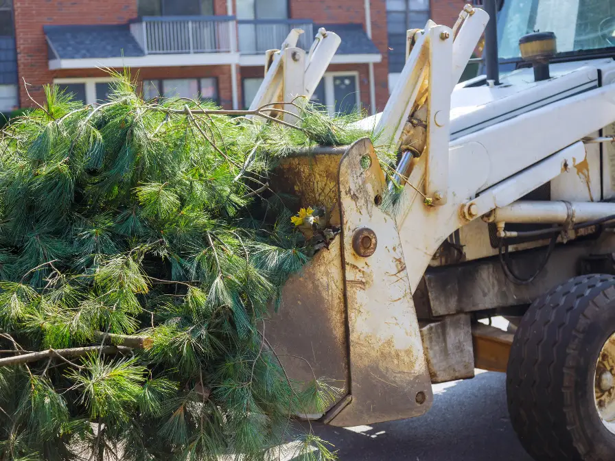 Heavy loader clearing downed pine trees and storm debris as part of a hurricane tree removal project in a Central Florida residential complex by Southern Environmental.