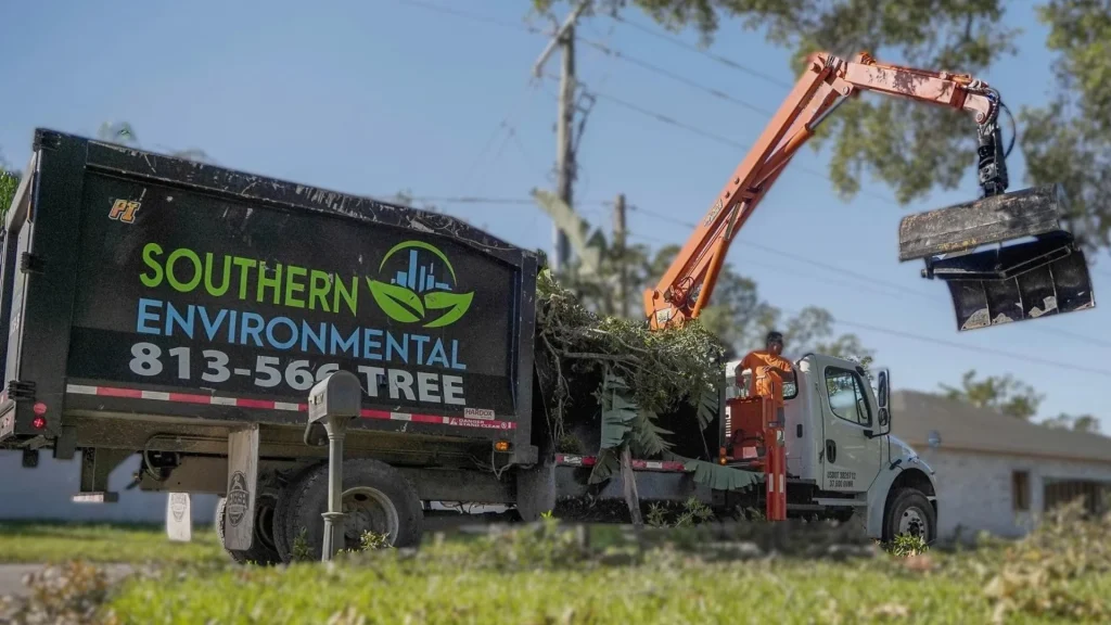 A Southern Environmental grapple truck with the phone number 813-566-TREE visible, actively loading tree debris from a residential street in Hyde Park, demonstrating our complete Tampa tree services.