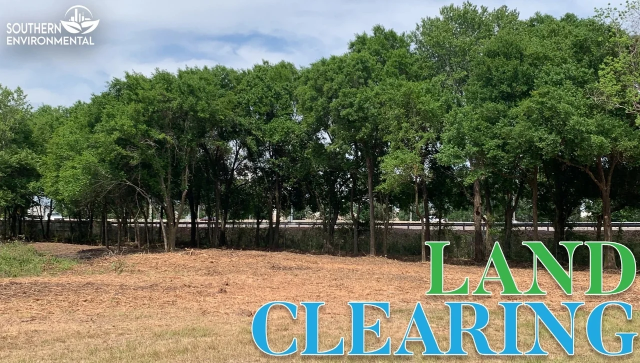 Recently mulched and cleared commercial lot in Central Florida, showcasing the professional results of Lakeland land clearing & tree services by Southern Environmental.