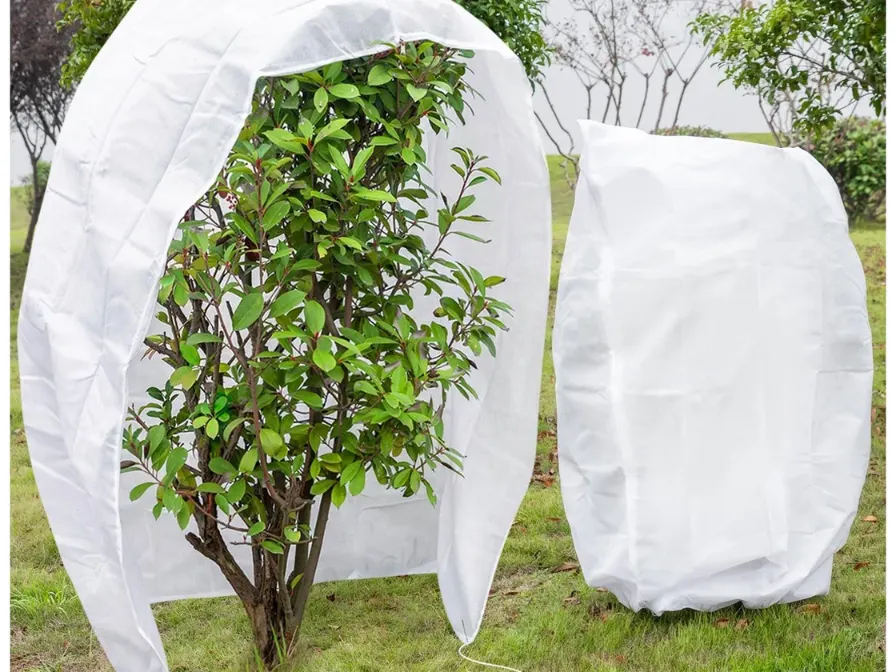 Ornamental residential shrubs protected with white frost blankets during a winter freeze event in Central Florida.