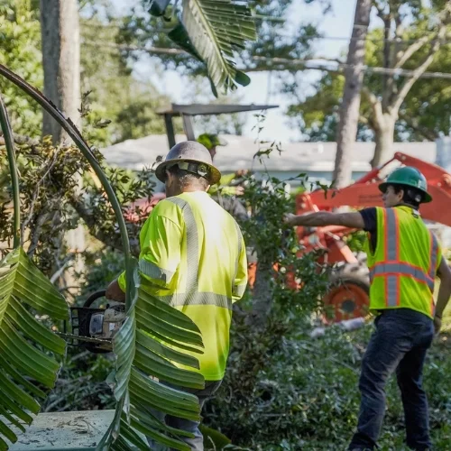 Southern Environmental professional crew in safety gear using a chainsaw to clear tree debris on a residential lot.