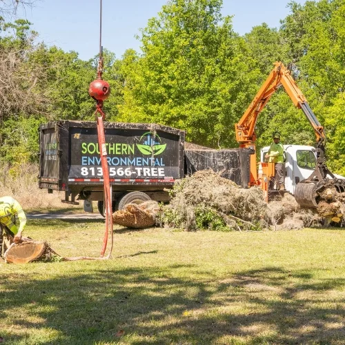 Southern Environmental grapple truck and crew working on a tree removal project, showing the coordination between machinery and ground staff.