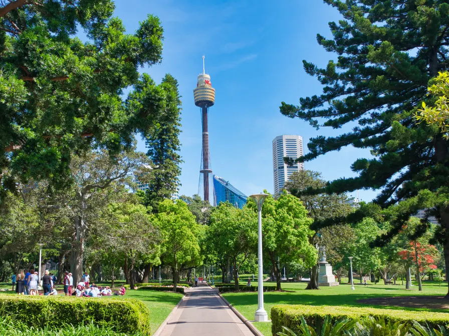 Professional tree and land services in Hyde Park, Tampa, showing a lush park landscape with mature canopy trees managed by Southern Environmental.