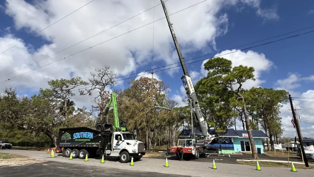 Southern Environmental Group crane-assisted tree removal and grapple truck loading in Tampa Bay — Link-Belt crane lifting large tree section near power lines with grapple truck debris removal
